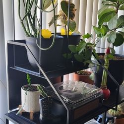 Industrial Metal Shelf