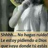 Wilser