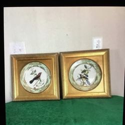 Elegant Vintage Pair, Gilded Plates With Birds Framed In Gold Frames