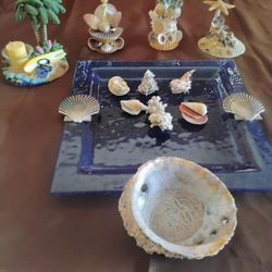 Beautiful Sea Shells Art 