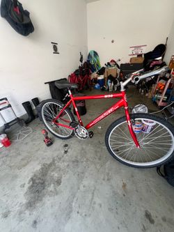 Mountain bike