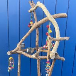 Dual Level Macaw Perch On A Compact Base ( Smaller ) … Fits Anywhere … Great Socializer!! 👍🏼