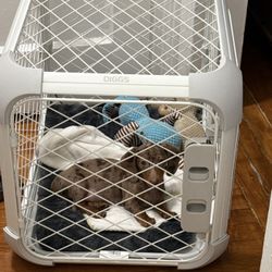 Evolv Dog Crate (originally $229)