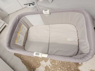 Chicco Travel Basinette