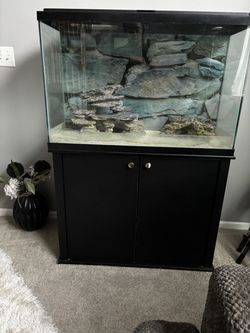 45 inch Fish tank with stand