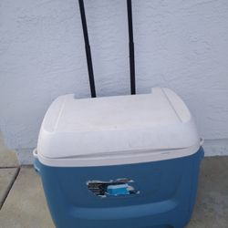 Igloo Cooler