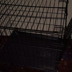Dog Cage