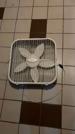 fan
