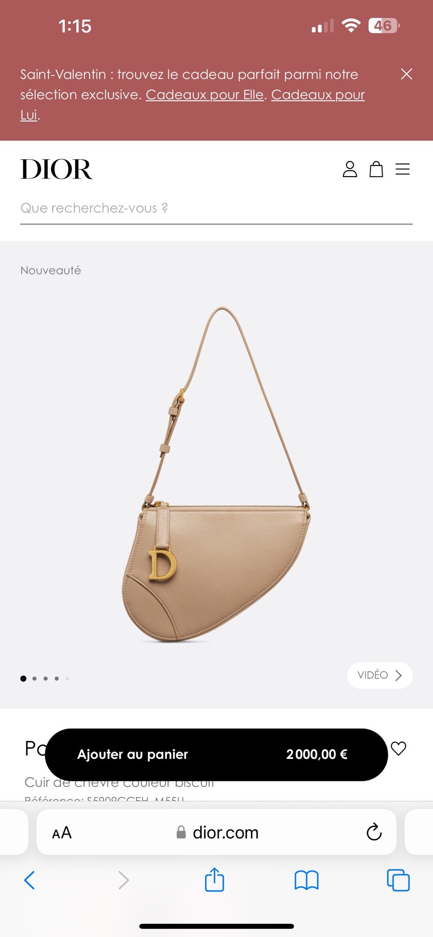 Dior Saddle Bag Pouch
