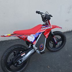ELECTRIC MOTORCYCLE