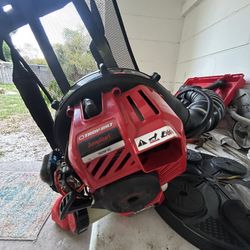 Echo Edger And Troy Built Backpack Blower 