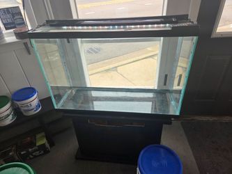55 Gallon fish tank + 55 gallon fluval filter