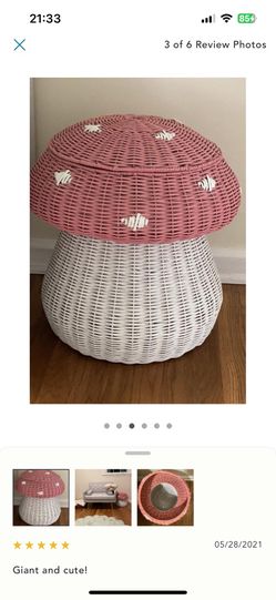 Mushroom Storage Bin