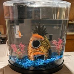 Fish Tank With Colored Rocks and inserts. Great Condition. 