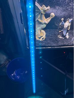 48” aquarium light