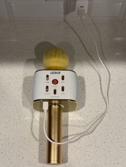 Karaoke Mic with Speaker