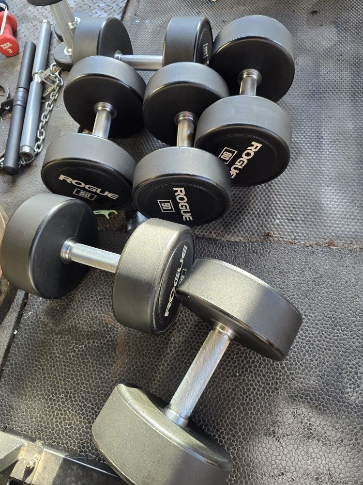 Weight Rogue Urethane Dumbbells