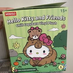 Miniso Hello kitty capybara