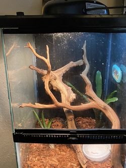 Zilla Habitat