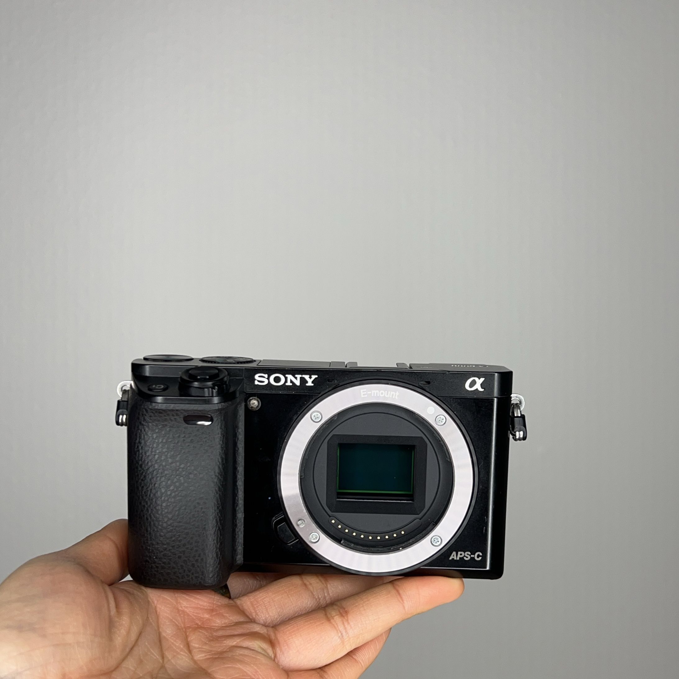Sony Alpha A6000 Mirrorless Digital Camera Body