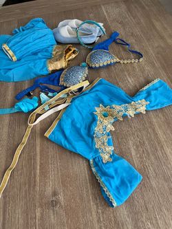 Custom bedazzled jasmine Halloween costume