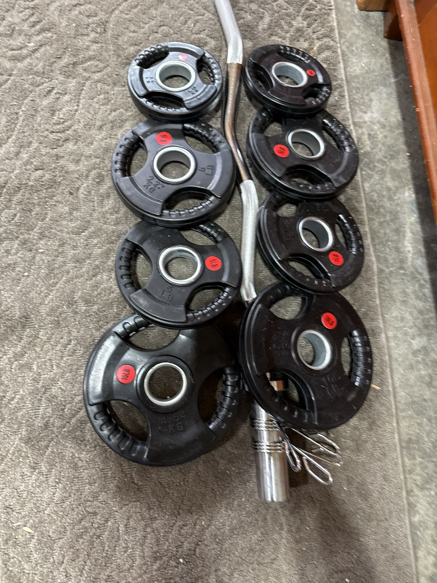 Weights Olympic Curl Bar