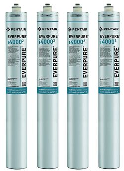 Everpure EV9612-32 i4000 2 Filter Cartridge (Pack of 4) #1836C G1