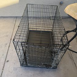 Gauge For Little Animals 36 X 24