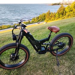 2024 Freesky electric bike