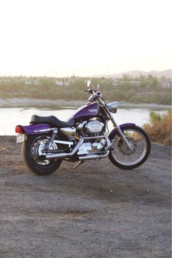 2002 Harley-Davidson XL1200 Custom – Concord Purple – 30k Miles