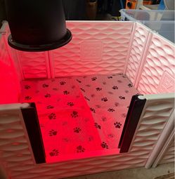 Incubator & Ez whelp box