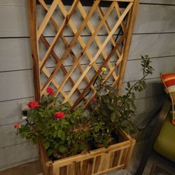  Wooden Garden Bed Vegetable Planter Grid Box with Climbing Trellis