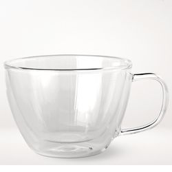 Williams Sonoma Double Wall Latte Mugs • Set of 2 • New