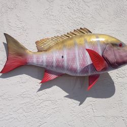 Trophy Mutton Snapper Mount 