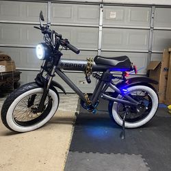 Customized E Bike