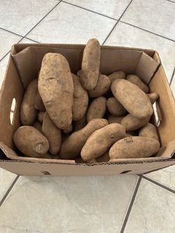 Free potatoes