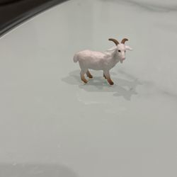 Toy Goat