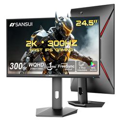 SANSUI 25 inch 2K WQHD 300Hz IPS Gaming Monitor