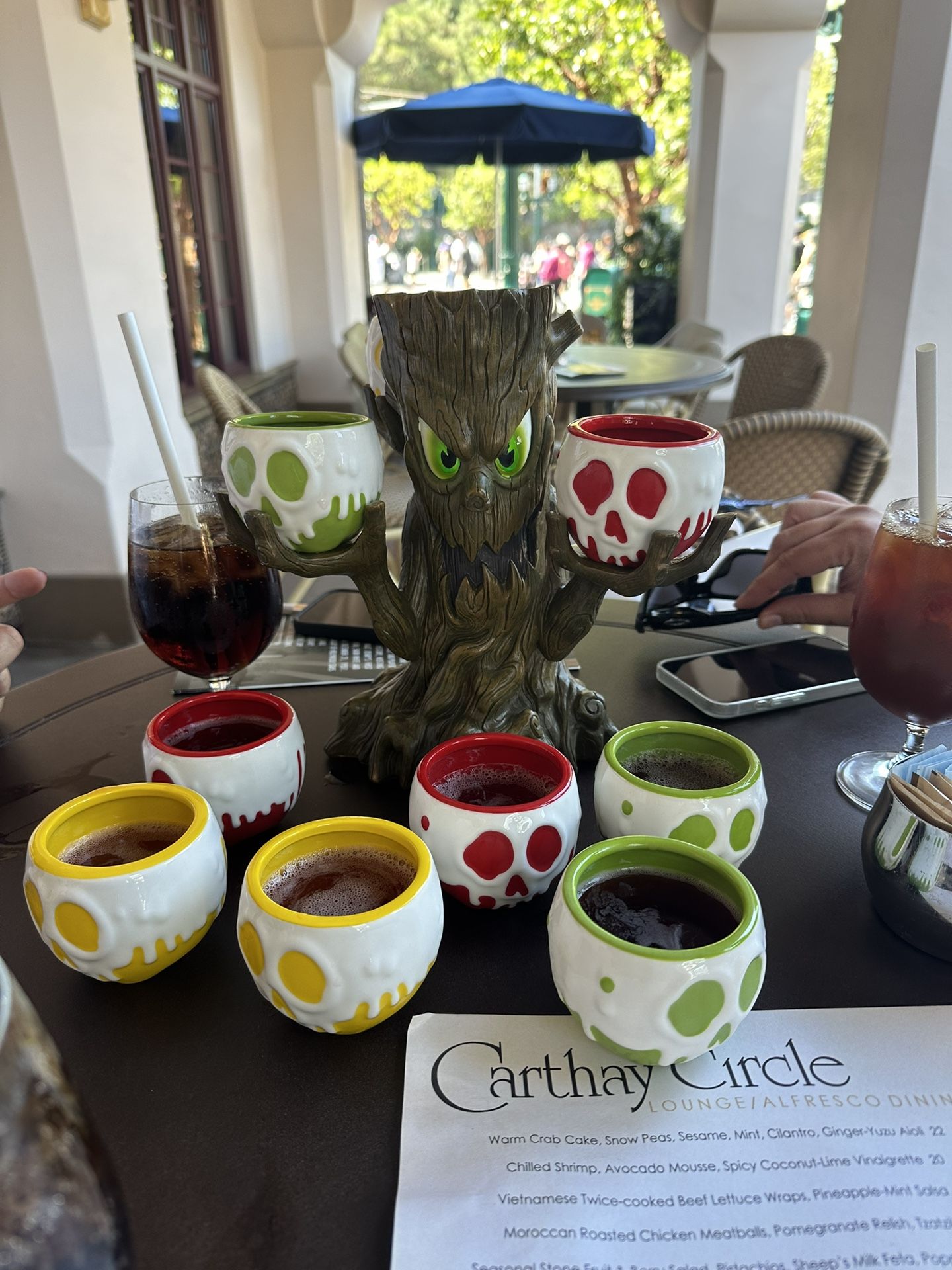 Disney California Cathay Circle Spooky Tree Poison Apple Flight