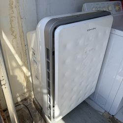Air Purifier   Conway