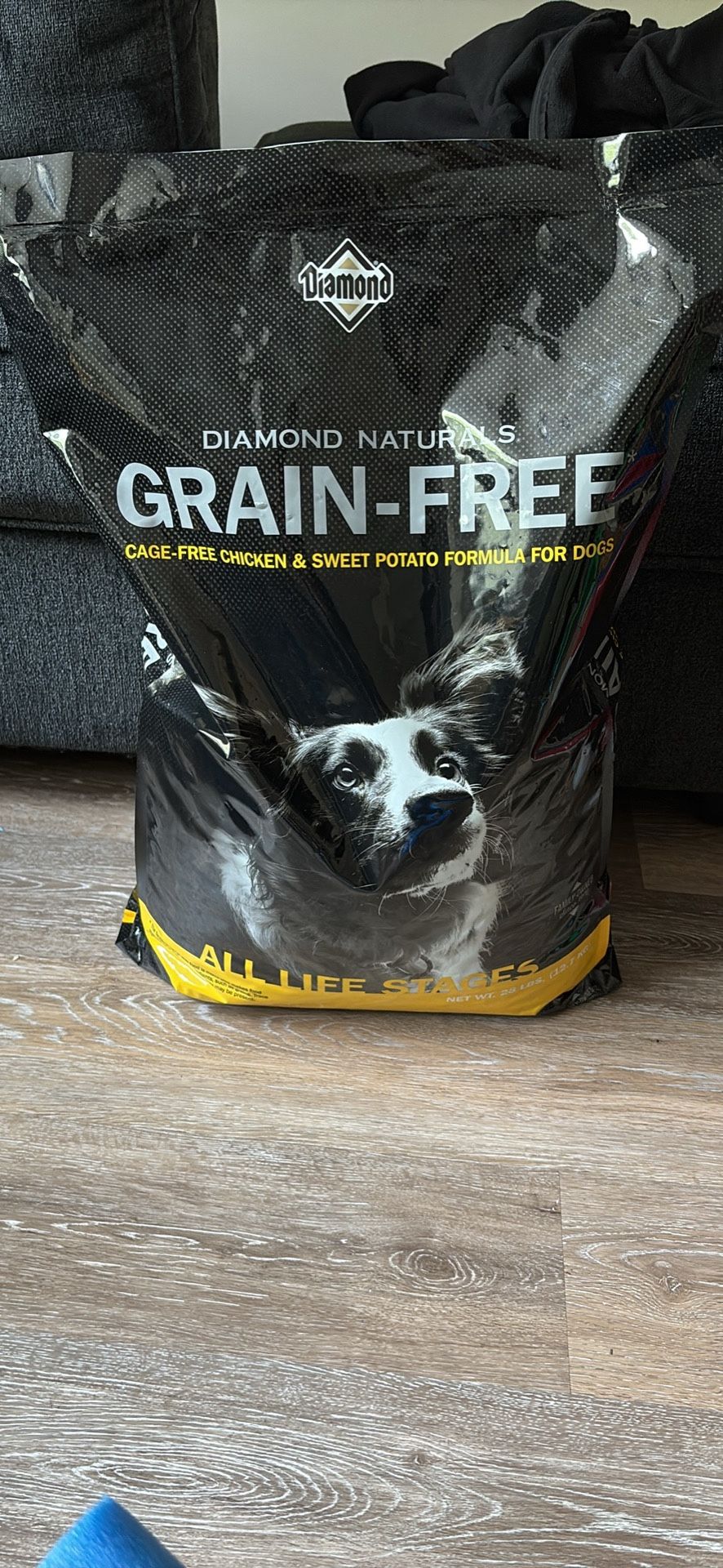 Dog Food
