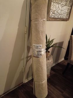 Brand new 5x7 shag cream rug from home goods store