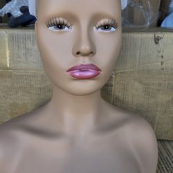 Mannequin Head Amd Shoulders