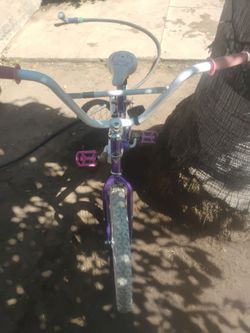 Huffy sea star