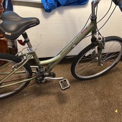 Raleigh 21 Speed Bicycle