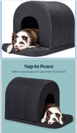 Orthopedic Dog House