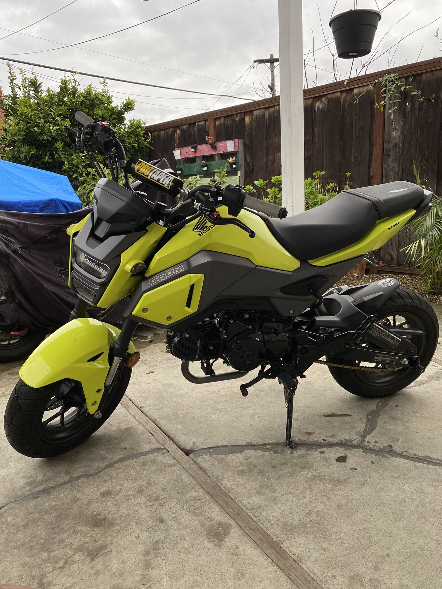 2017 Honda Grom