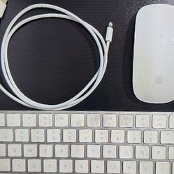 🍎🍏  Apple Keyboard With Mouse