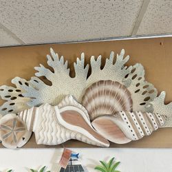 New Large Handcrafted Carved Shells 