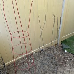 Tomatoes Cages 